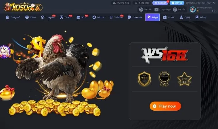 Trải Nghiệm Đá Gà Tại Xoso66 Đỉnh Cao Săn Thưởng Cực Lớn Ngay 1 Giao diện sảnh đá gà Xoso66 thiết kế đẹp, chuyên nghiệp