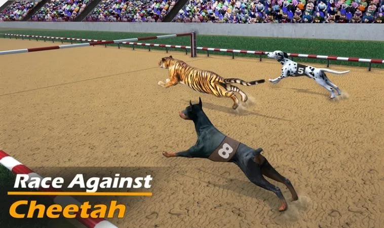 Cách Chơi Đua Chó Xoso66 Chắc Thắng Mang Về Lợi Nhuận Cực Lớn 1 Đua Chó Xoso66