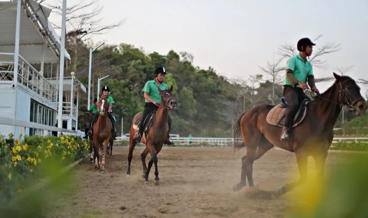 Cá Cược Đua Ngựa Xoso66 Bí Quyết Về Đích Thắng Lợi Rực Rỡ 1 Đua Ngựa Xoso66